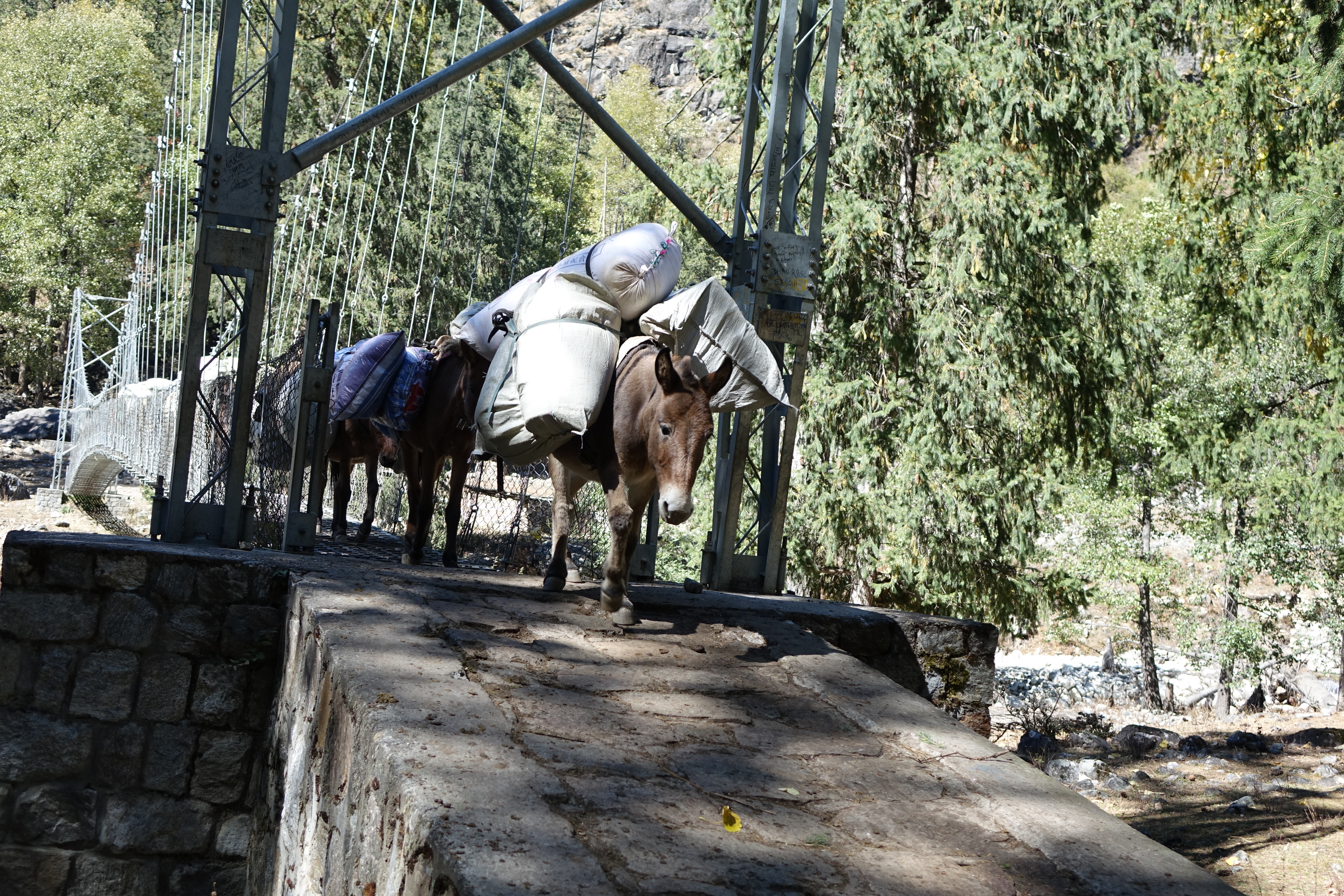 Bridge